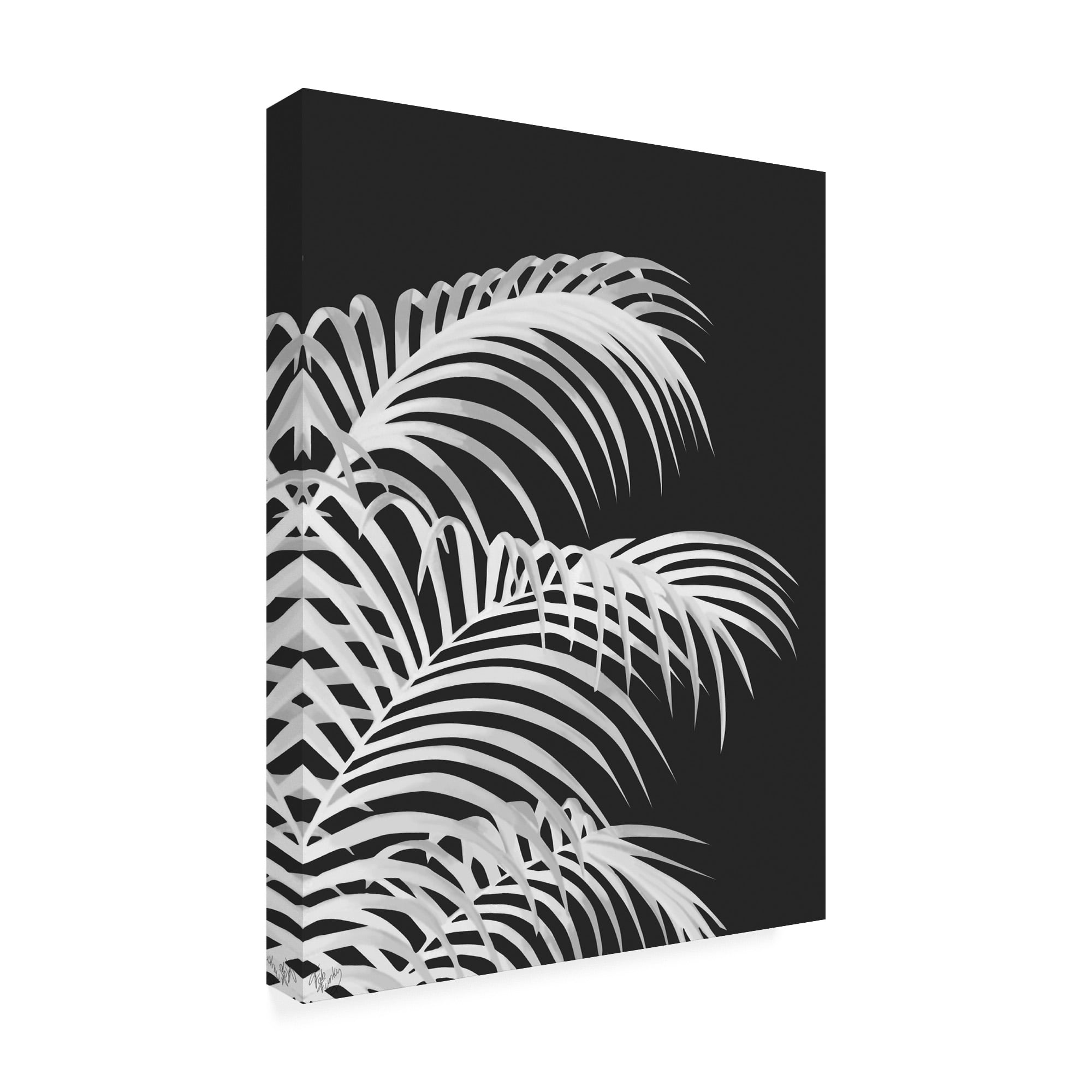 Trademark Fine Art 'Palm Leaf 1, White On Black' Canvas Art by Fab Funky