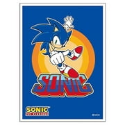Sonic the Hedgehog Retro Arcade Sonic (EN-1193) Pack