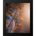 thumbnail image 2 of Love Grams 15x18 Black Modern Framed Museum Art Print Titled - Falling for You, 2 of 5
