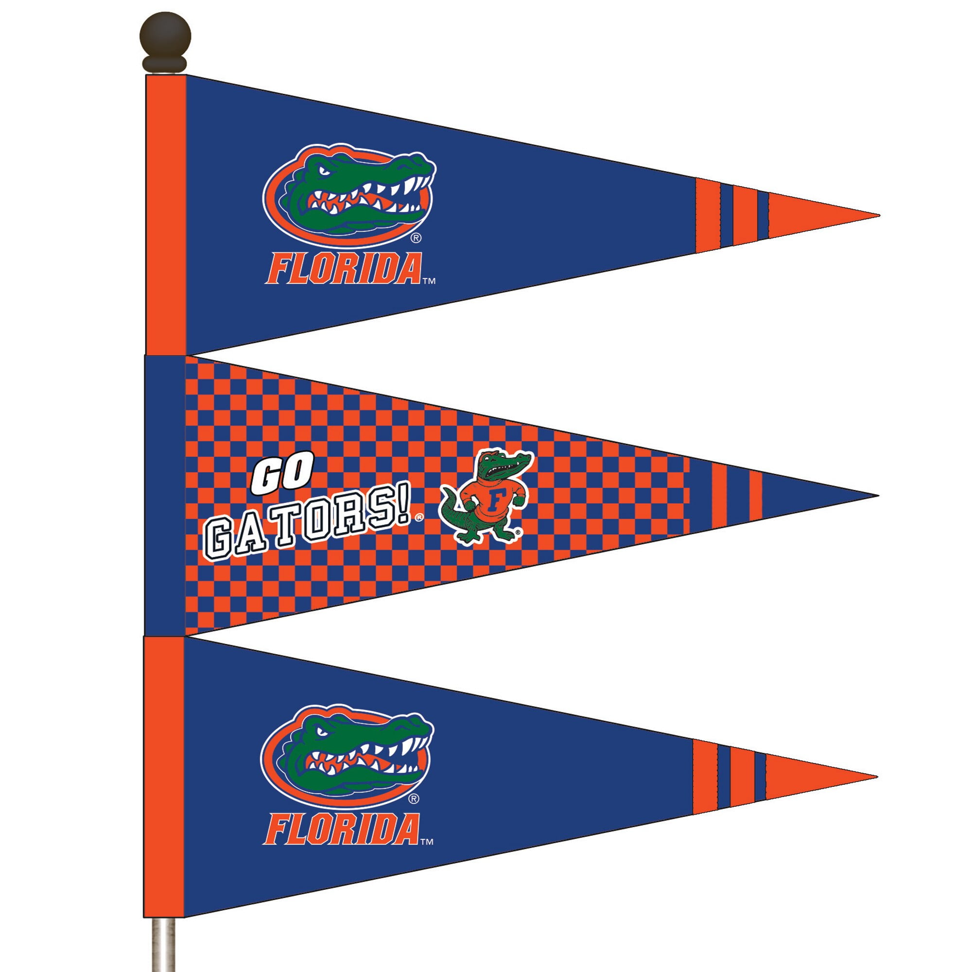Team Sports America NCAA Pennant Flags 