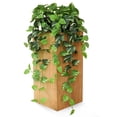 thumbnail image 2 of Set de 2 plantas colgantes Pothos artificiales con macetas, color verde dorado, 2 of 9