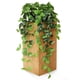 thumbnail image 2 of Set de 2 plantas colgantes Pothos artificiales con macetas, color verde dorado, 2 of 9