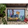 thumbnail image 3 of Carolines Treasures SS8678MAT Norwich Terrier Doormat 18x27 27"L x 18"W multicolor, 3 of 4