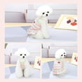 thumbnail image 3 of Dalrosia Cute Dog Dress for Small Dogs Girl Birthday Puppy Clothes Spring Summer Dog Outfits Rainbow Colorful Striped Cherry Princess Pet Tutu Skirt Doggie Cat Chihuahua Yorkies Dresses, 3 of 8