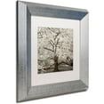 thumbnail image 2 of Trademark Fine Art "Hampton Magnolia II" Canvas Art by Alan Blaustein, White Matte, Silver Frame, 2 of 4