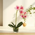 thumbnail image 4 of ZFSBZBS 13in Artificial Orchid Flower in Pot, Silk Orchid Arrangement with Glass Vase,Silk Phalaenopsis Indoor Decor for Home Table Centerpiece F, 4 of 5