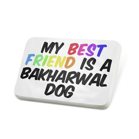Porcelein Pin My best Friend a Bakharwal Dog from India Lapel Badge – (Best Dogs For Apartments India)