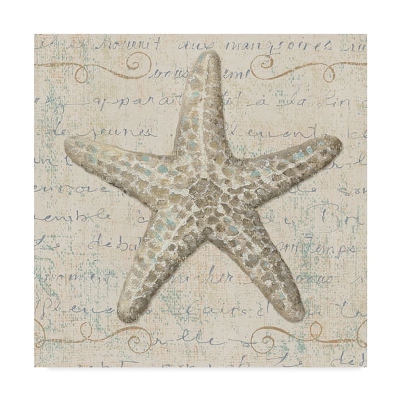 Trademark Fine Art 'Coastal Beauty II' Canvas Art by Lisa Audit