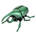 thumbnail image 2 of Fake Beetle Prank Toy Insect Model Kids Wind Up Beetle Clockwork Animal Toy Halloween Wind Up Beetle Toy Clockwork Insect Toy, 2 of 8