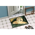 thumbnail image 4 of Carolines Treasures SS8761JMAT Paillasson Golden Retriever 24 x 36 Po., 4 of 4