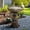 #4 Brown, variant on Hamiedun 24.8" H Outdoor Concrete Bird Bath - Perfect for Adding Interest to Garden, Patio, Backyard, Porch and Deck