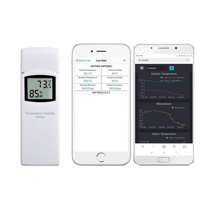 Sensor inalámbrico de temperatura y humedad exterior ECOWITT WN32