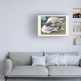 thumbnail image 3 of John James Audubon 'White Winged Silvery Gull' Canvas Art, 3 of 3