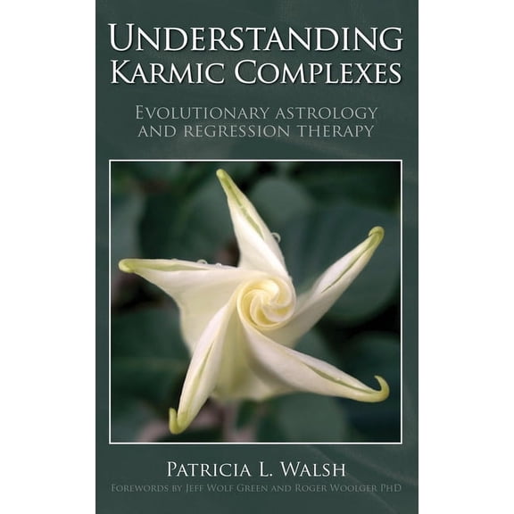 Understanding Karmic Complexes, (Hardcover)