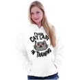 thumbnail image 3 of Crazy Cat Lady in Training Funny Cute Women Plus Size Graphic Pullover Hoodie Brisco Brands 3X, 3 of 4