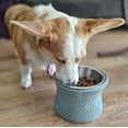 thumbnail image 3 of Pet Junkie Santa Fe Soporte Elevado Para Cuenco Para Mascotas Con Cuenco Interior Extraíble De Acero Inoxidable De 16 Oz Para Razas De Perros Pequeños O Gatos, Estación De Agua O Comida Para Perros El, 3 of 5