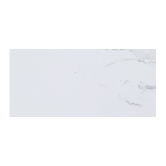 Palisade Interlocking Vinyl Waterproof Wall/Backsplash Tiles for Kitchen or Bathroom in Carrara Marble (4.5x11 in. Sample)
