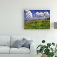 thumbnail image 3 of Trademark Fine Art 'A Cloudy Day at the Beach' Canvas Art by David Lloyd Glover, 3 of 4