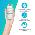 thumbnail image 2 of Cúrcuma Orgánica Nutrasien100 1 bote con 60 cápsulas vegano Antiinflamatorio natural Beneficia Sistema Inmune, 2 of 8