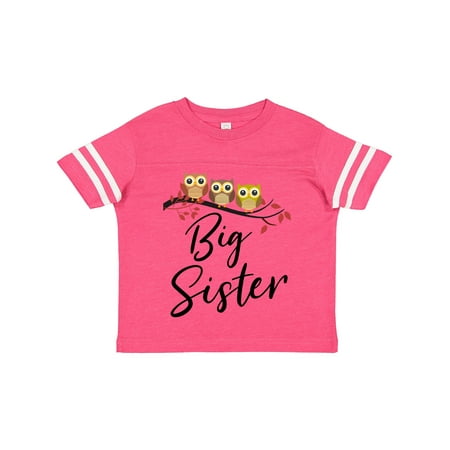 

Inktastic Owl Big Sister Gift Toddler Toddler Girl T-Shirt