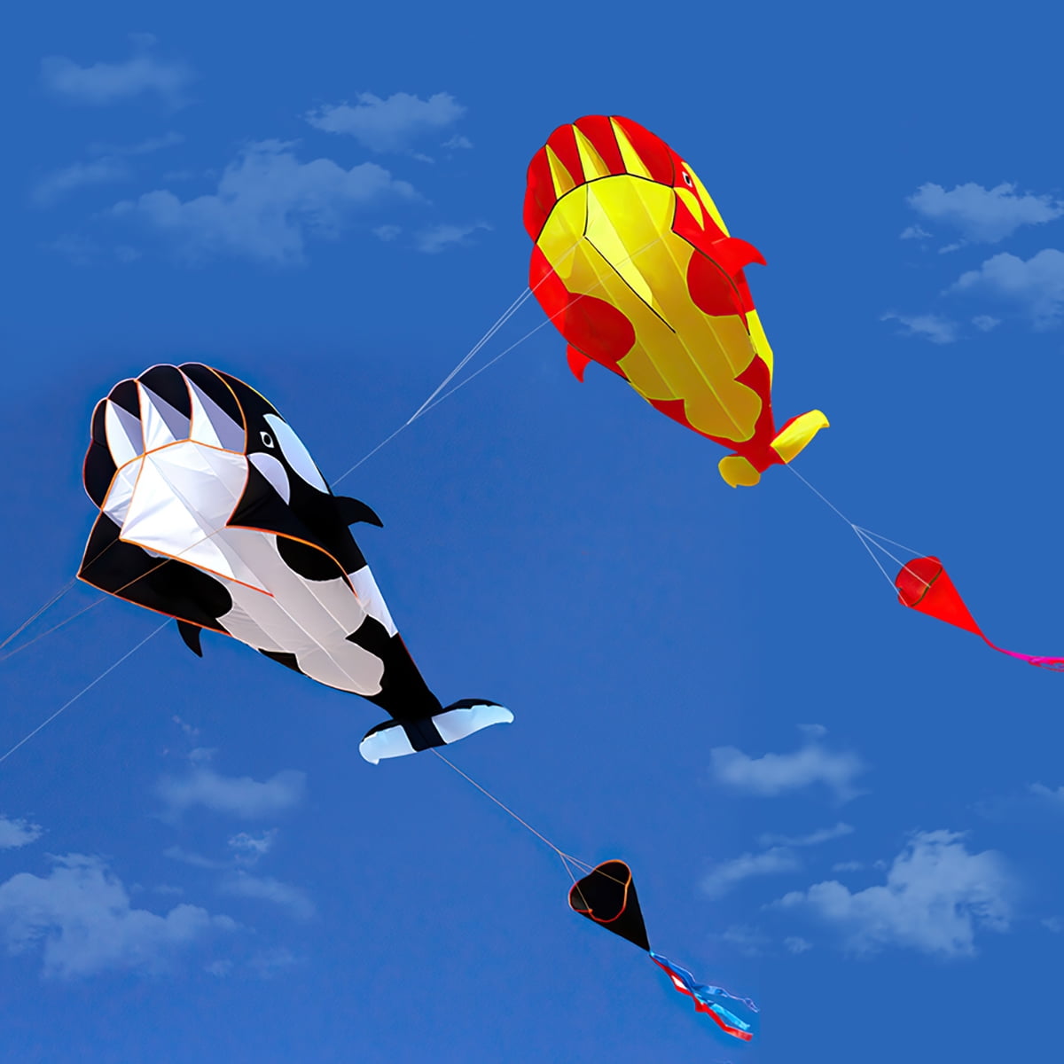 Private Jungle 2Pack RED/BLACK/BLUE 3D Cartoon Whale Kite Frameless Soft Parafoil Whale Family Outdoor Sports Toy Children Private Jungle 2Pack RED/BLACK/BLUE 3D Cartoon Whale Kite Frameless Soft Parafoil Whale Family Outdoor Sports Toy Children