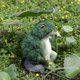 thumbnail image 2 of Broccoli Frogs Landscaping Ornaments Durable Crafts Decorative Model for Garden Porch Yard, 2 of 5