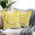 thumbnail image 5 of Outdoor Waterproof Pillow Covers Pack of 2, Summer Watercolor Yellow Lemon Slice Decorative Throw Pillowcases Cushion Covers for Garden Patio Tent Sofa Couch, 16x16 inch, 5 of 8