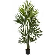 7' Kentia Palm x 12 w/230 Lvs