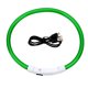 thumbnail image 1 of Typpkmm LED USB Dog Collar with Pet Dog Night Luminous Charge, 1 of 7