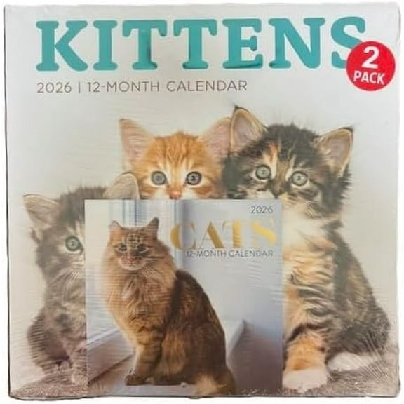 Kittens and Cats 2026 12-Month Wall Calendar and Desk Calendar Set, 2 Pack