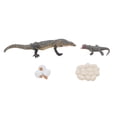 thumbnail image 2 of Lizard Growth Cycle Toy, Detailed 4 Pcs Educational Simulation Animal Life Cycle Toy  for Children, 2 of 7
