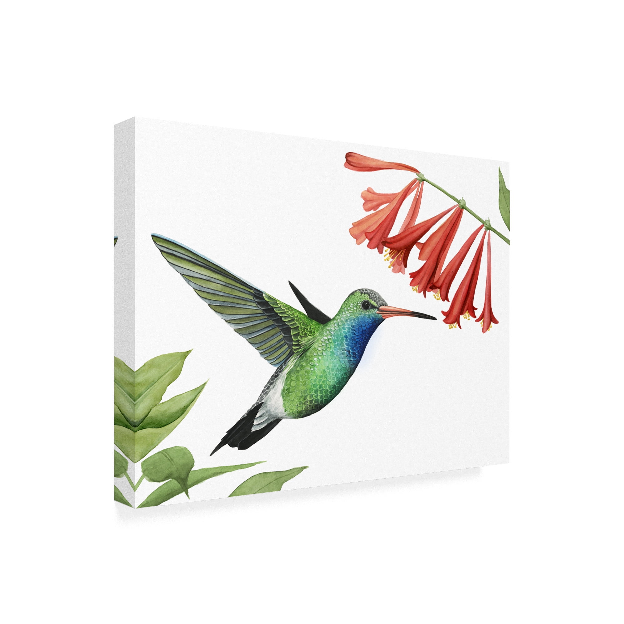 Trademark Fine Art 'Hummingbird And Flower II' Canvas Art by Grace Popp