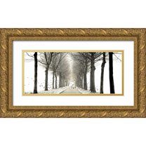 Van de Goor, Lars 32x16 Gold Ornate Wood Framed with Double Matting Museum Art Print Titled - Birds