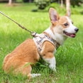 thumbnail image 7 of Puppy Harness and Leash Set - Plaid Cute Adjustable Small Dog Fulll Body Vest Escape Proof Safety, 7 of 7