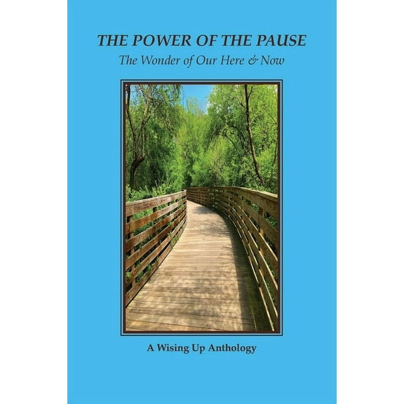 The Power of the Pause (Paperback)