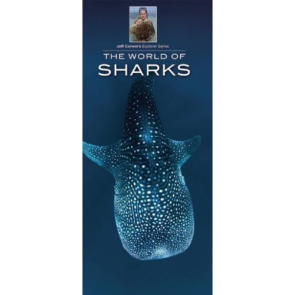 The World of Sharks