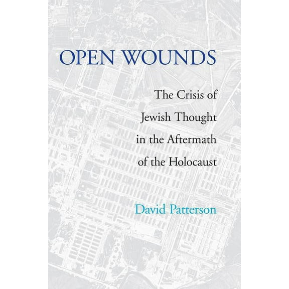 Open Wounds: The Crisis of Jewish Thought in the Aftermath of the Holocaust, (Hardcover)