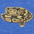 thumbnail image 2 of CafePress - Ball Python - Cute Infant Baby Football Bodysuit, 2 of 3