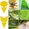 thumbnail image 3 of 50 trampas para insectos de doble cara, antimosquitos, atrapamoscas para interiores con pegamento adhesivo para plantas, flores y frutas, 3 of 5