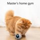 thumbnail image 5 of Automatic Smart Cat Toy USB Interactive Electric Jumping Ball Self Rotating Toys Rolling Jumping Ball For Pet Kitten Dog Kids ShopWise Round, 5 of 8