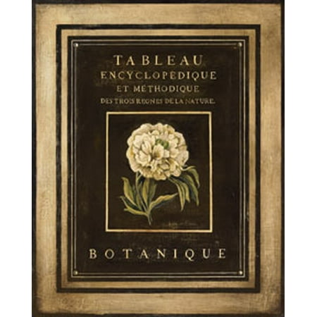 Les Fleurs De Paris II - Mini Best Hydrangea Cool Durable Beautiful Rosebud Paris Poster