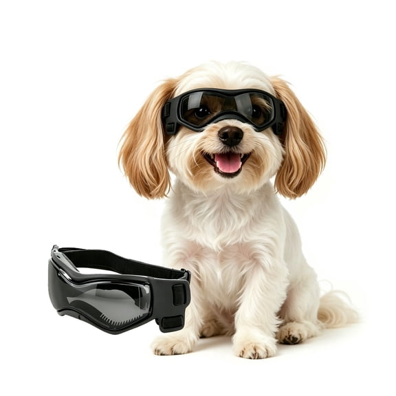 PETLESO Gog Goggle for Small Dog, Dog Sunglasses for Small Breed UV Riding Driving , Small Black