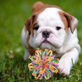 thumbnail image 3 of Bola de lanzamiento para niños, bola que se encoge con flores, Mini anillos de juguete esféricos, pelota expansible elástica, juguetes para niños y adultos, 3 of 5