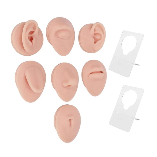 Modelo de parte del cuerpo Strade Fareast Limited silicona suave 3D
