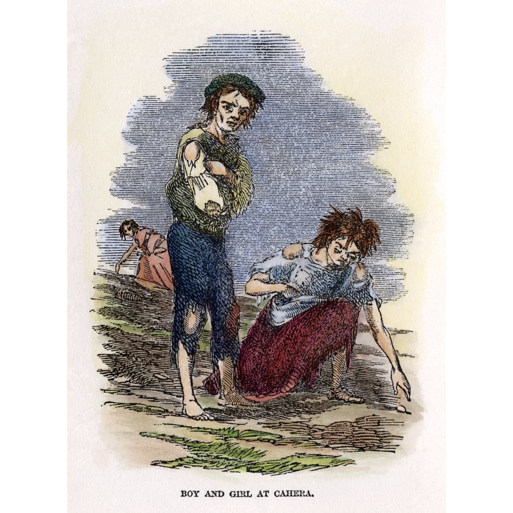 Great Potato Famine 1840S Nstarving Irish Children Searching For