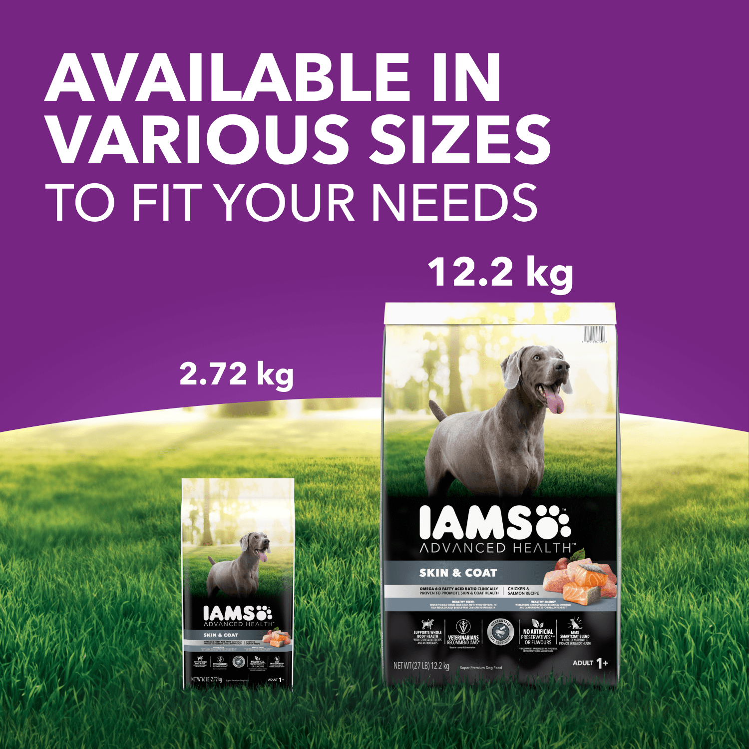 Iams Advanced Health Skin & Coat Chicken & Salmon Adult Dry Dog Food 10kg