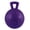 Purple, variant on Jolly Pets Tug-N-Toss 10 inch Purple Rubber Ball with Handle Chew Toy for Dogs
