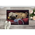 thumbnail image 2 of Carolines Treasures PPP3269JMAT Pug Goodnight Sweetheart Door Mat Indoor Rug or Outdoor Welcome Mat 24x36 Doormat  24H X, 2 of 4