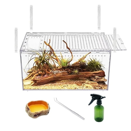 Reptile Terrarium 12" x 8" x 6", for Insect,Fish,Tarantula,Hermit Crab,Jumping Spider