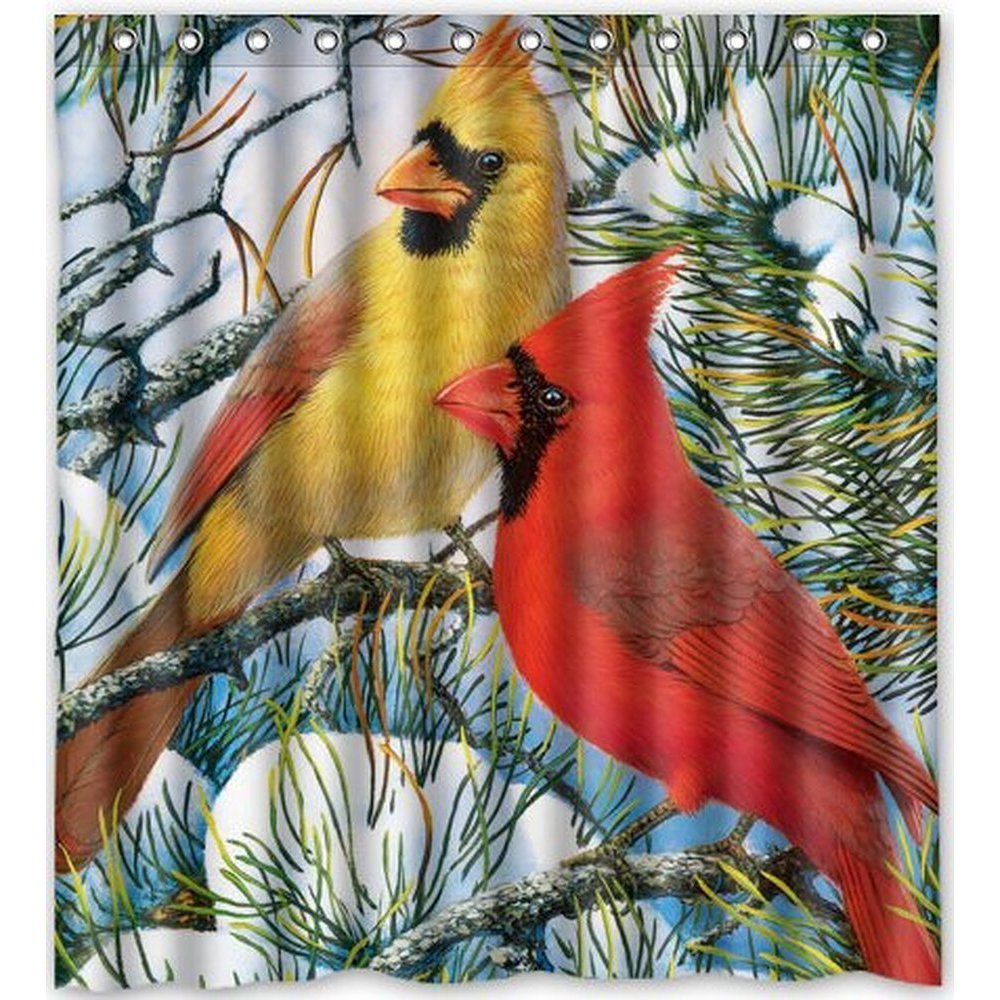 GreenDecor Funny Cardinals Birds Waterproof Shower Curtain Set with